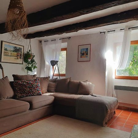 Petit Moulin Villa Le Cannet-des-Maures Dış mekan fotoğraf