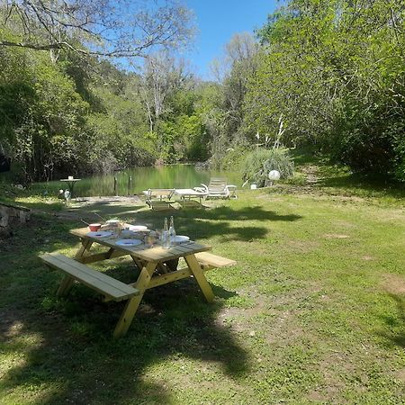 Petit Moulin Villa Le Cannet-des-Maures Dış mekan fotoğraf