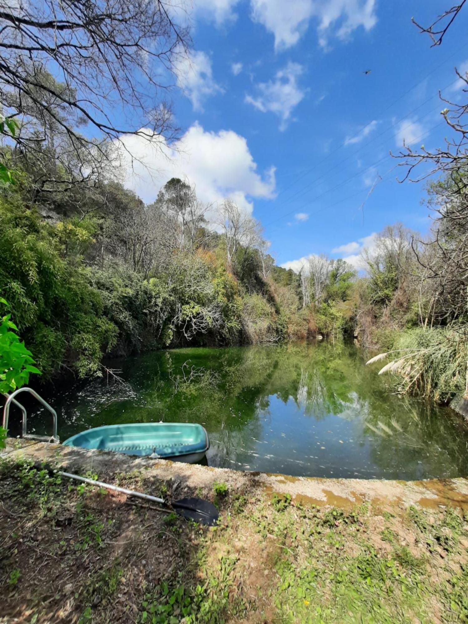 Petit Moulin Villa Le Cannet-des-Maures Dış mekan fotoğraf