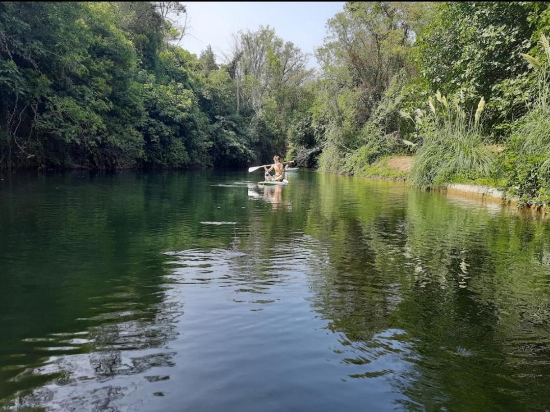 Petit Moulin Villa Le Cannet-des-Maures Dış mekan fotoğraf